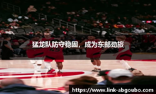 猛龙队防守稳固，成为东部劲旅