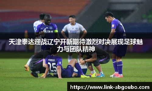 天津泰达迎战辽宁开新期待激烈对决展现足球魅力与团队精神